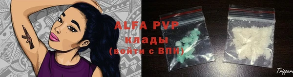 стаф Вуктыл