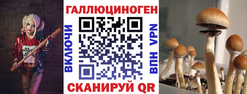 Псилоцибиновые грибы GOLDEN TEACHER  где можно купить   Абаза 